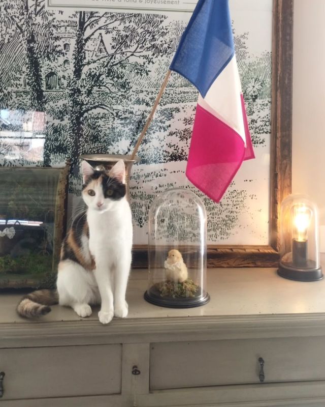 Il y a ceux qui se sont battus pour notre pays et notre liberté, ceux qui se sont alliés et ont contribué, ceux qui à l'arrière ont fait des efforts et ont souffert, ceux qui se sont sacrifiés. Ne pas les oublier, c'est aussi se demander ce que nous faisons aujourd'hui de leurs œuvres, des symboles, de l'unité, de la fraternité.... allons enfants de la patrie!

Drapeaux à réserver en mp, plusieurs formats disponibles.