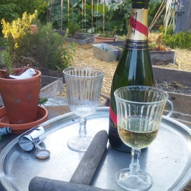 Le plus important pour réussir son potager, c'est d'être bien équipé. Plantoir fait maison, gobelets réutilisables et jus de raisin.
#mapampa #uncorpsmoelleuxestuncorpsheureux #jecultivecequemange #ivrogneunjourivrognetoujours #lavieestcequonenfait