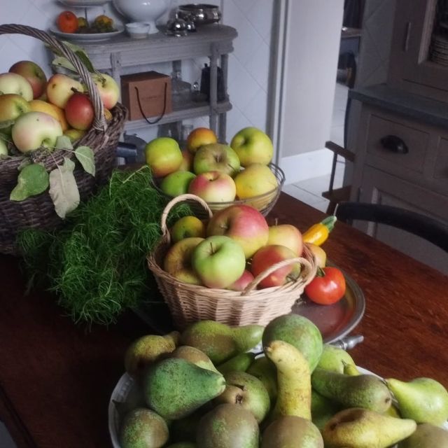 La nature tellement généreuse, Elle offre chaque soir des heures de travail après le travail ☺️. Compotes, fruits séchés, confitures et gelées, sirops, pâtes de fruits... Nous sommes preneurs de grandes idées pour varier les conservations! 

#mapampa #augustpremier #conserves #verger #potager #vegetablegarden